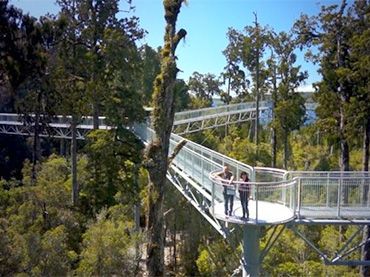 Westcoast Treetop Walk & Café